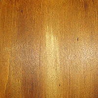 Marrone 2241