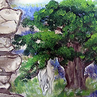 Tableau