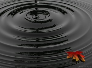 2007-01-16-ricordi 2007-01-16-ricordi