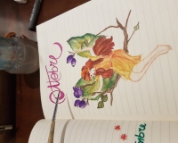 20180911_205523 20180911_205523