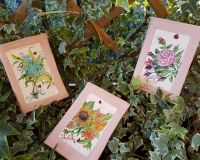 20181210_151837 20181210_151837