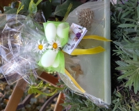 20190427_171446 20190427_171446