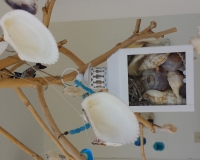 20170630_125417 20170630_125417