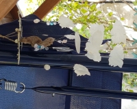 20180806_161042 20180806_161042