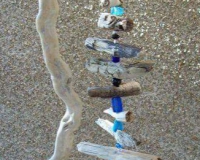 20200114_124331 20200114_124331