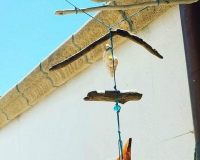 20200114_124618 20200114_124618