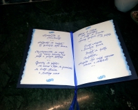 20150605_163959 20150605_163959