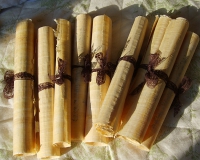 partecipazioni partecipazioni