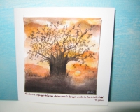 Immagine-351 Immagine-351