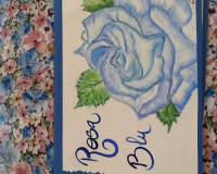 FB_IMG_1578996958037 FB_IMG_1578996958037