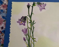 FB_IMG_1578996970222 FB_IMG_1578996970222