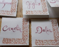 FB_IMG_1578997247580 FB_IMG_1578997247580